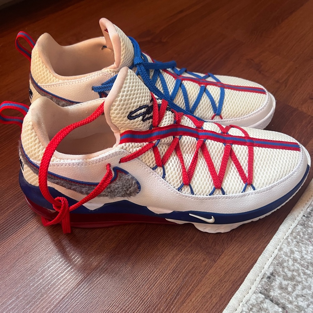 Lebron 17 Low Tune Squad
